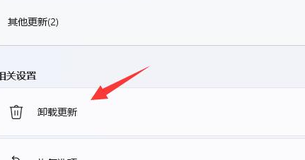 电脑自动更新win11了怎么退回