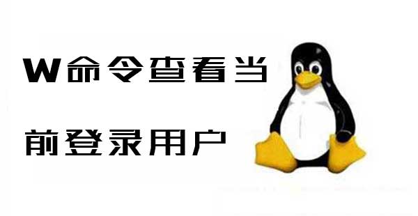 Linux系统管理:w详解