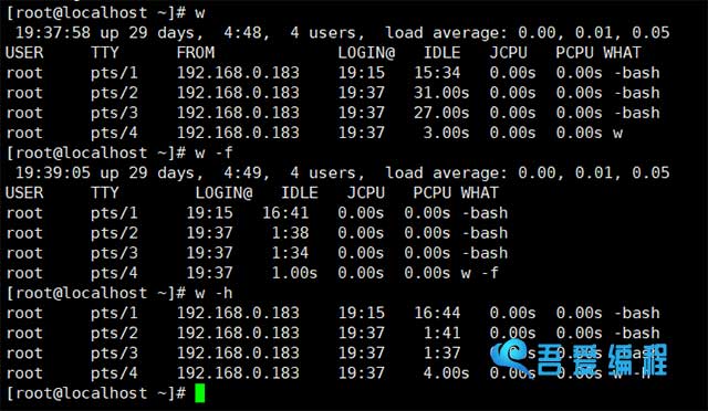Linux系统管理:w详解