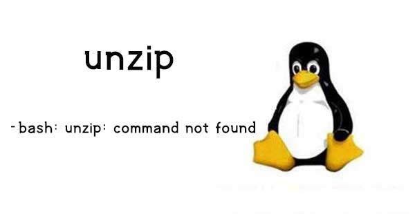 -bash:unzip: command not found